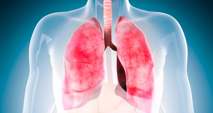 Wizualizacja płuc u człowieka. Choroby płuc mogą zmienić ich wygląd.