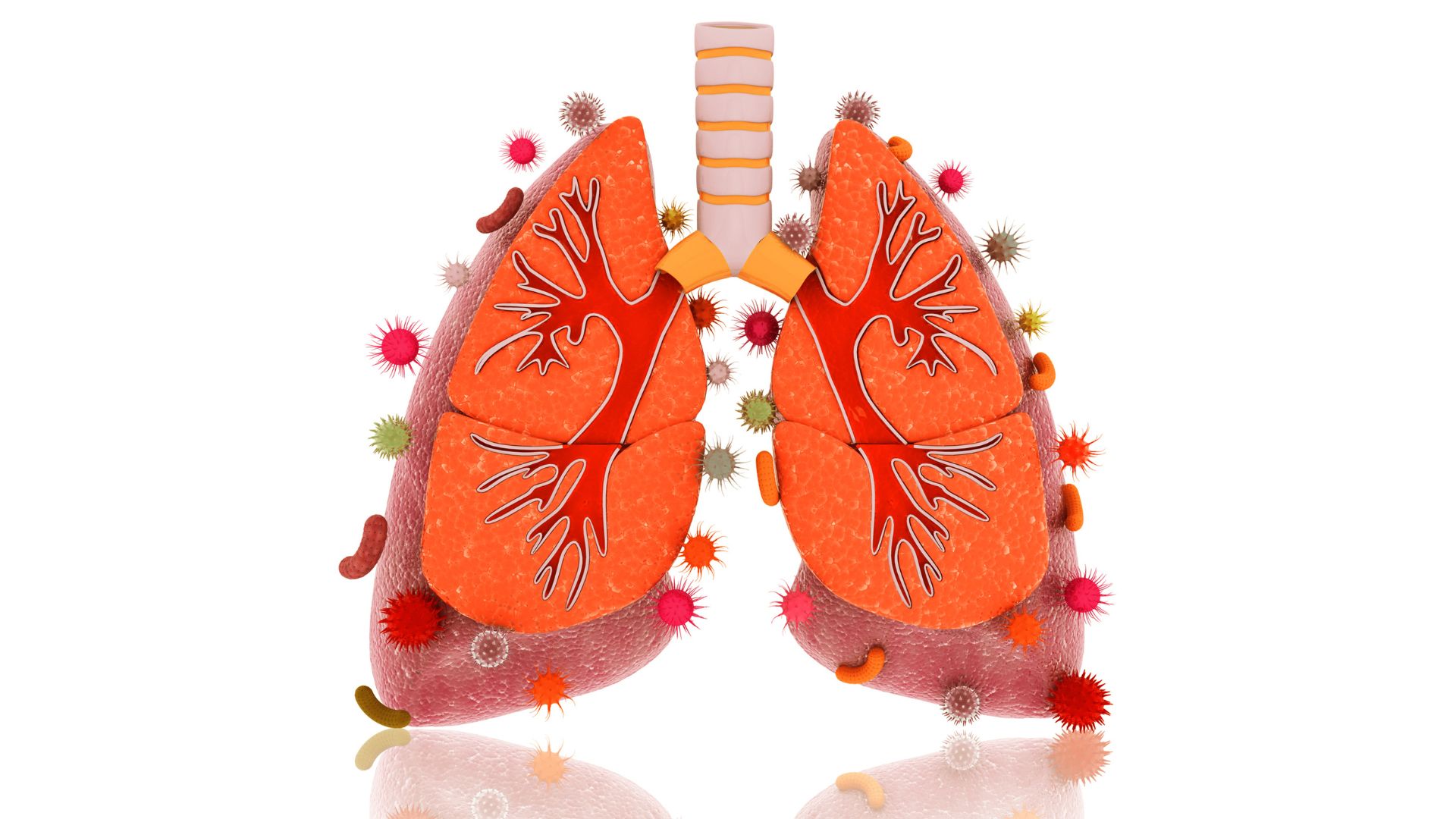 Czym jest cytomegalia płuc?