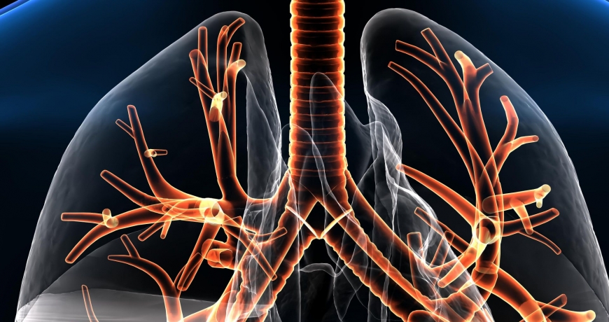 Układ oddechowy człowieka z płucami i drogami dla powietrza na graficznej wizualizacji.